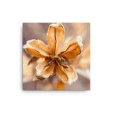 Fine Art Nature Photography by Maxwell Alexander – Canvas Print