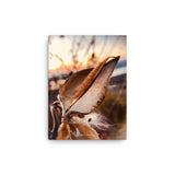Fine Art Nature Photography by Maxwell Alexander – Photo Print