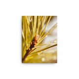 Fine Art Nature Photography by Maxwell Alexander – Canvas Print