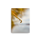 Fine Art Nature Photography by Maxwell Alexander – Canvas Print