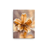 Fine Art Nature Photography by Maxwell Alexander – Canvas Print