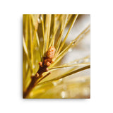 Fine Art Nature Photography by Maxwell Alexander – Canvas Print