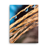 Fine Art Nature Photography by Maxwell Alexander – Canvas Print