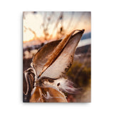 Fine Art Nature Photography by Maxwell Alexander – Photo Print