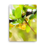 Fine Art Nature Photography by Maxwell Alexander – Canvas Print