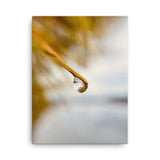Fine Art Nature Photography by Maxwell Alexander – Canvas Print