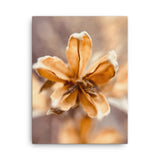 Fine Art Nature Photography by Maxwell Alexander – Canvas Print