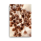 Fine Art Nature Photography by Maxwell Alexander