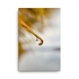 Fine Art Nature Photography by Maxwell Alexander – Canvas Print