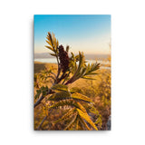 Nature Photography by Maxwell Alexander – Canvas Photo Print